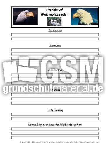 Weißkopfseeadler-Steckbriefvorlage.pdf